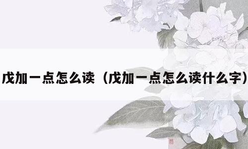 戊加一点怎么读（戊加一点怎么读什么字）