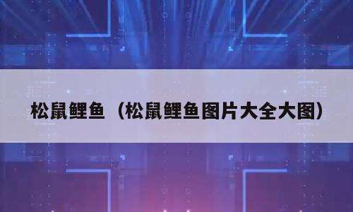松鼠鲤鱼（松鼠鲤鱼图片大全大图）