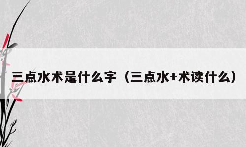 三点水术是什么字（三点水+术读什么）