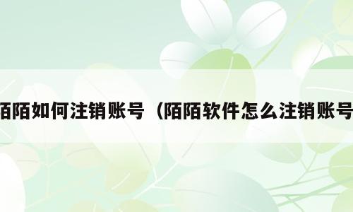 陌陌如何注销账号（陌陌软件怎么注销账号）