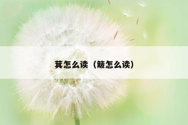 萁怎么读（簸怎么读）