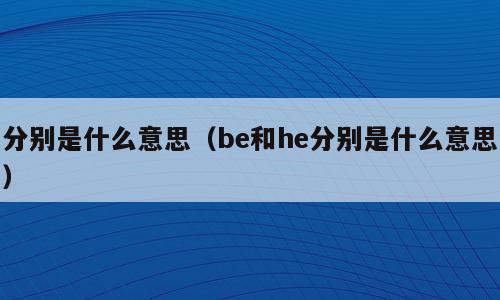 分别是什么意思（be和he分别是什么意思）