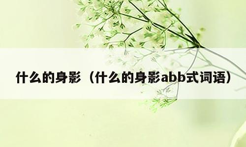 什么的身影（什么的身影abb式词语）