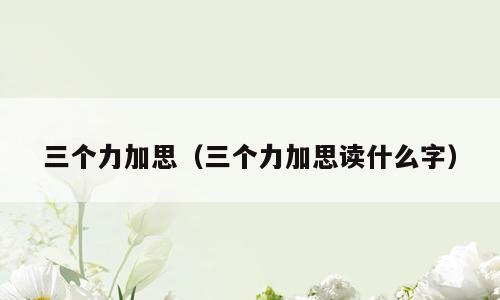 三个力加思（三个力加思读什么字）