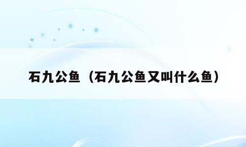 石九公鱼（石九公鱼又叫什么鱼）
