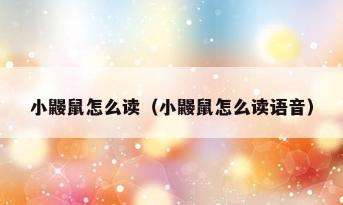 小鼹鼠怎么读（小鼹鼠怎么读语音）