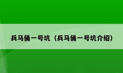 兵马俑一号坑（兵马俑一号坑介绍）