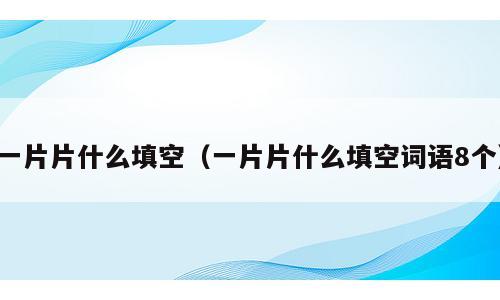 一片片什么填空（一片片什么填空词语8个）