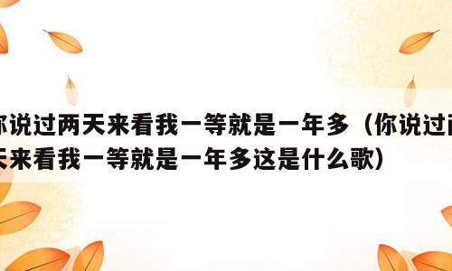你说过两天来看我一等就是一年多（你说过两天来看我一等就是一年多这是什么歌）