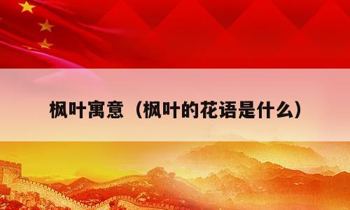 枫叶寓意（枫叶的花语是什么）