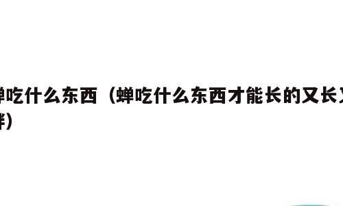 蝉吃什么东西（蝉吃什么东西才能长的又长又胖）