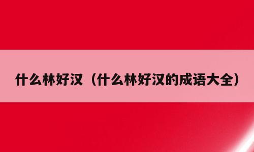 什么林好汉（什么林好汉的成语大全）