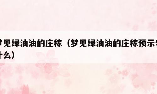 梦见绿油油的庄稼（梦见绿油油的庄稼预示着什么）