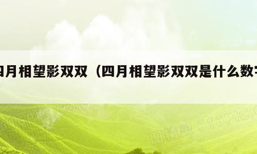 四月相望影双双（四月相望影双双是什么数字）