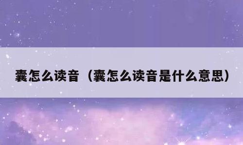 囊怎么读音（囊怎么读音是什么意思）