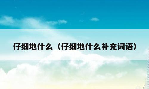 仔细地什么（仔细地什么补充词语）