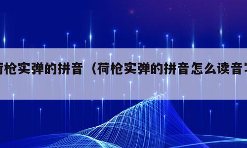 荷枪实弹的拼音（荷枪实弹的拼音怎么读音写）