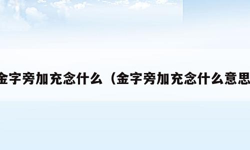 金字旁加充念什么（金字旁加充念什么意思）