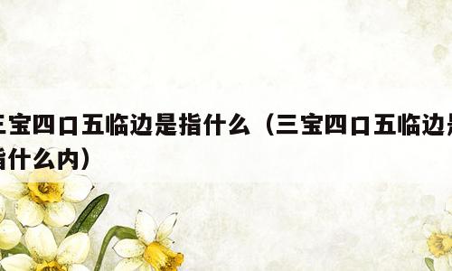 三宝四口五临边是指什么（三宝四口五临边是指什么内）