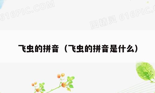 飞虫的拼音（飞虫的拼音是什么）