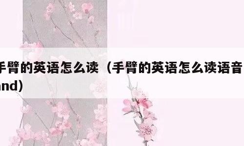 手臂的英语怎么读（手臂的英语怎么读语音hand）
