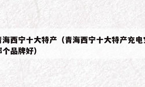 青海西宁十大特产（青海西宁十大特产充电宝那个品牌好）