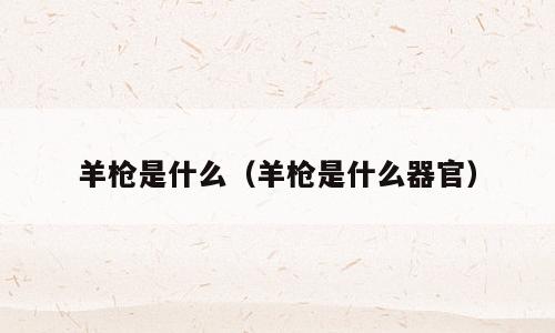 羊枪是什么（羊枪是什么器官）