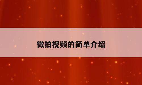 微拍视频的简单介绍