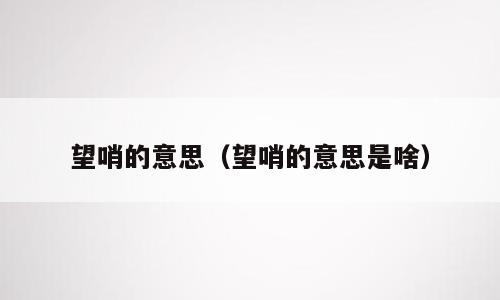 望哨的意思（望哨的意思是啥）