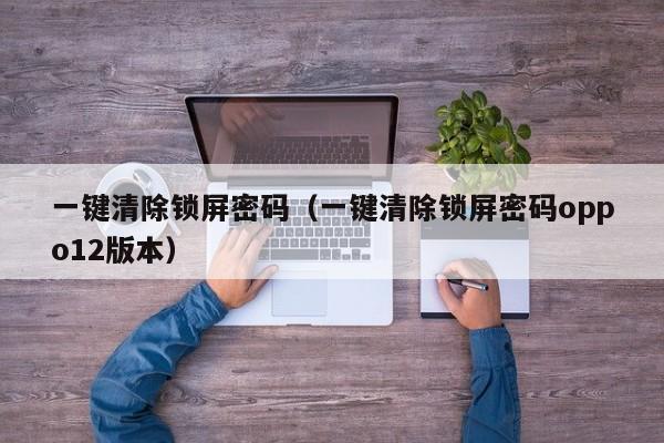 一键清除锁屏密码（一键清除锁屏密码oppo12版本）