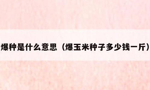 爆种是什么意思（爆玉米种子多少钱一斤）