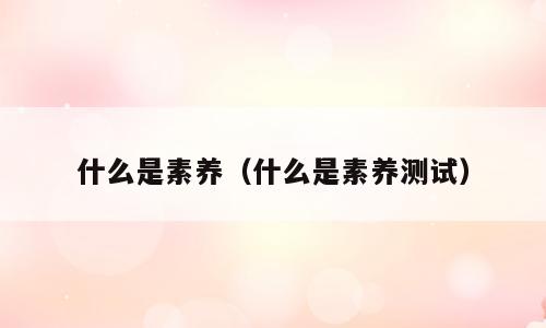 什么是素养（什么是素养测试）