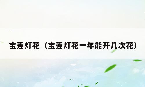 宝莲灯花（宝莲灯花一年能开几次花）