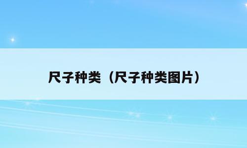 尺子种类（尺子种类图片）