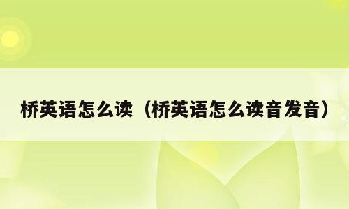 桥英语怎么读（桥英语怎么读音发音）