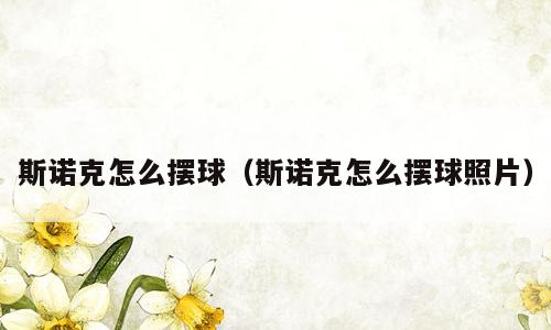 斯诺克怎么摆球（斯诺克怎么摆球照片）