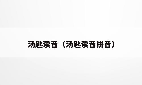 汤匙读音（汤匙读音拼音）