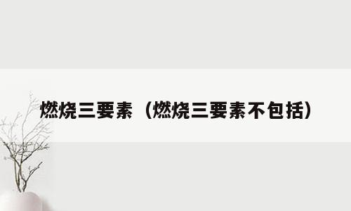 燃烧三要素（燃烧三要素不包括）