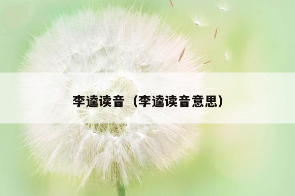 李逵读音（李逵读音意思）
