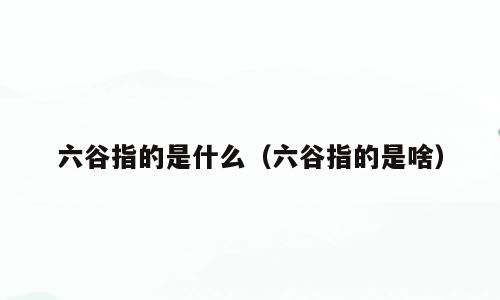 六谷指的是什么（六谷指的是啥）