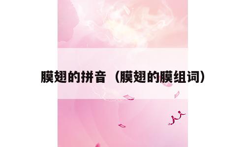 膜翅的拼音（膜翅的膜组词）