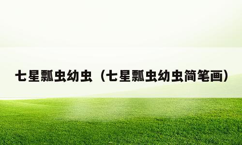 七星瓢虫幼虫（七星瓢虫幼虫简笔画）