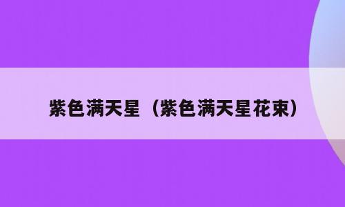 紫色满天星（紫色满天星花束）