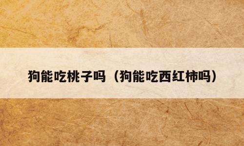 狗能吃桃子吗（狗能吃西红柿吗）