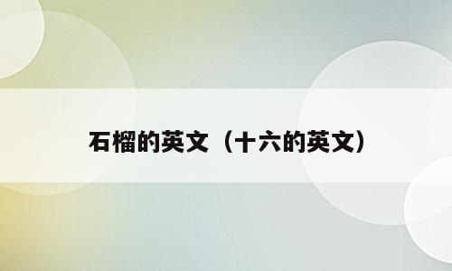 石榴的英文（十六的英文）
