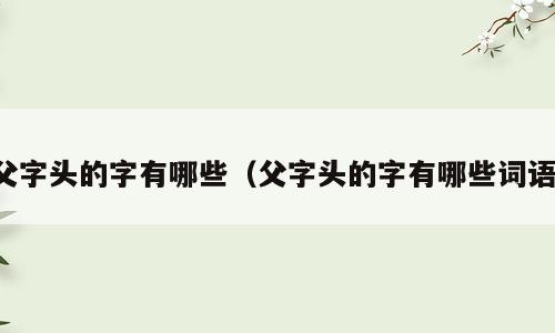 父字头的字有哪些（父字头的字有哪些词语）