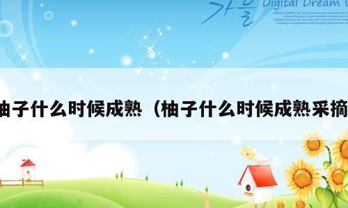 柚子什么时候成熟（柚子什么时候成熟采摘）
