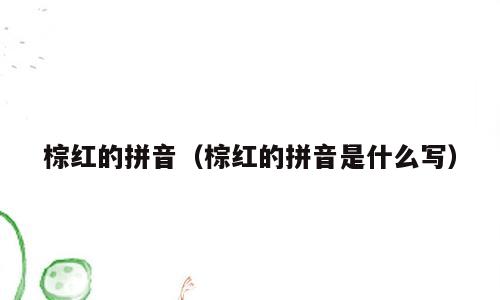 棕红的拼音（棕红的拼音是什么写）