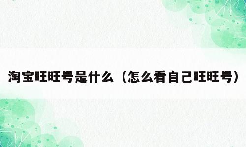 淘宝旺旺号是什么（怎么看自己旺旺号）