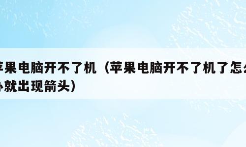 苹果电脑开不了机（苹果电脑开不了机了怎么办就出现箭头）